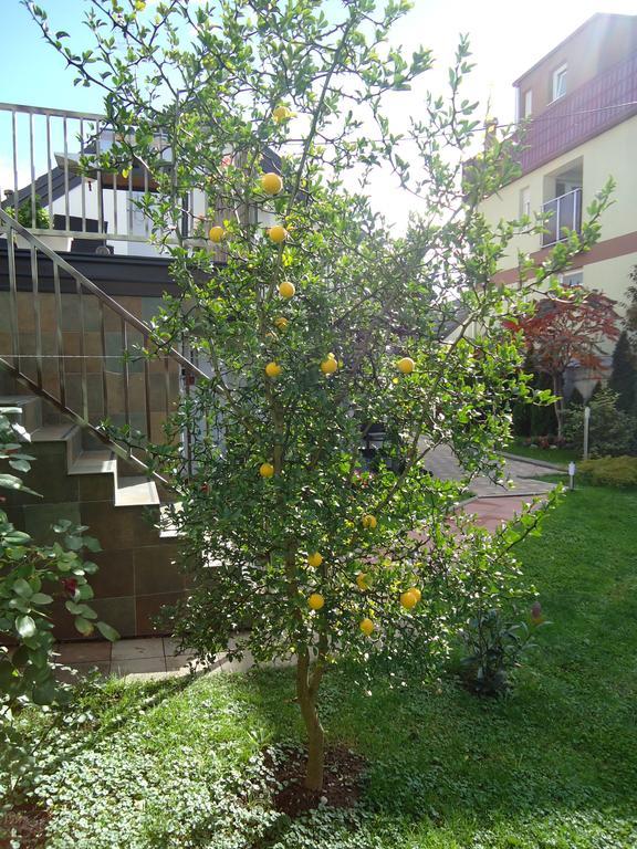 Apartment Spectre زغرب المظهر الخارجي الصورة